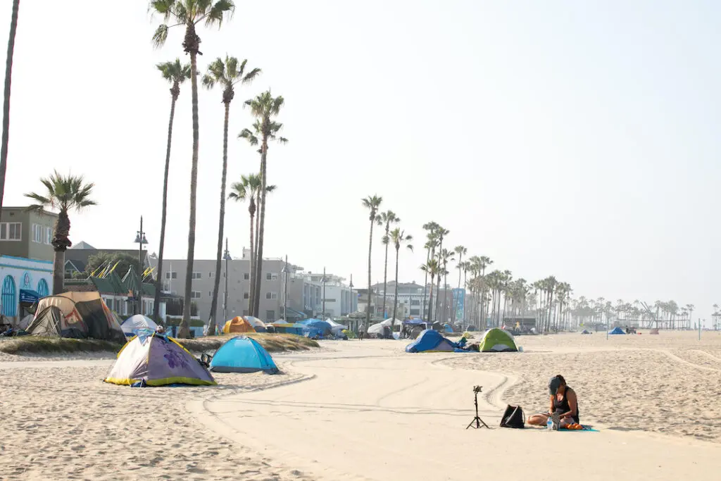 Tents set up along Venice Beach beneath tall palm trees, with the oceanfront visible in the distance.