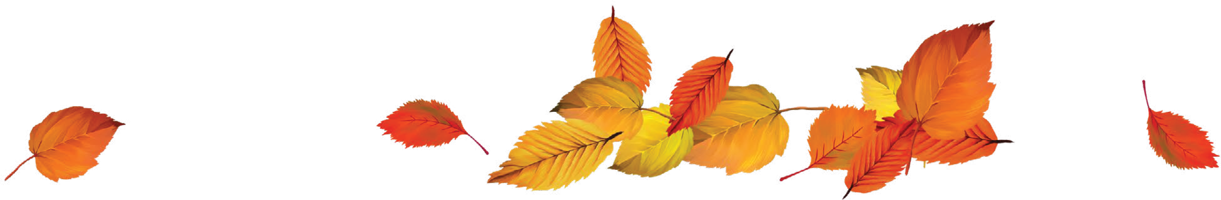 Image of fall leaves