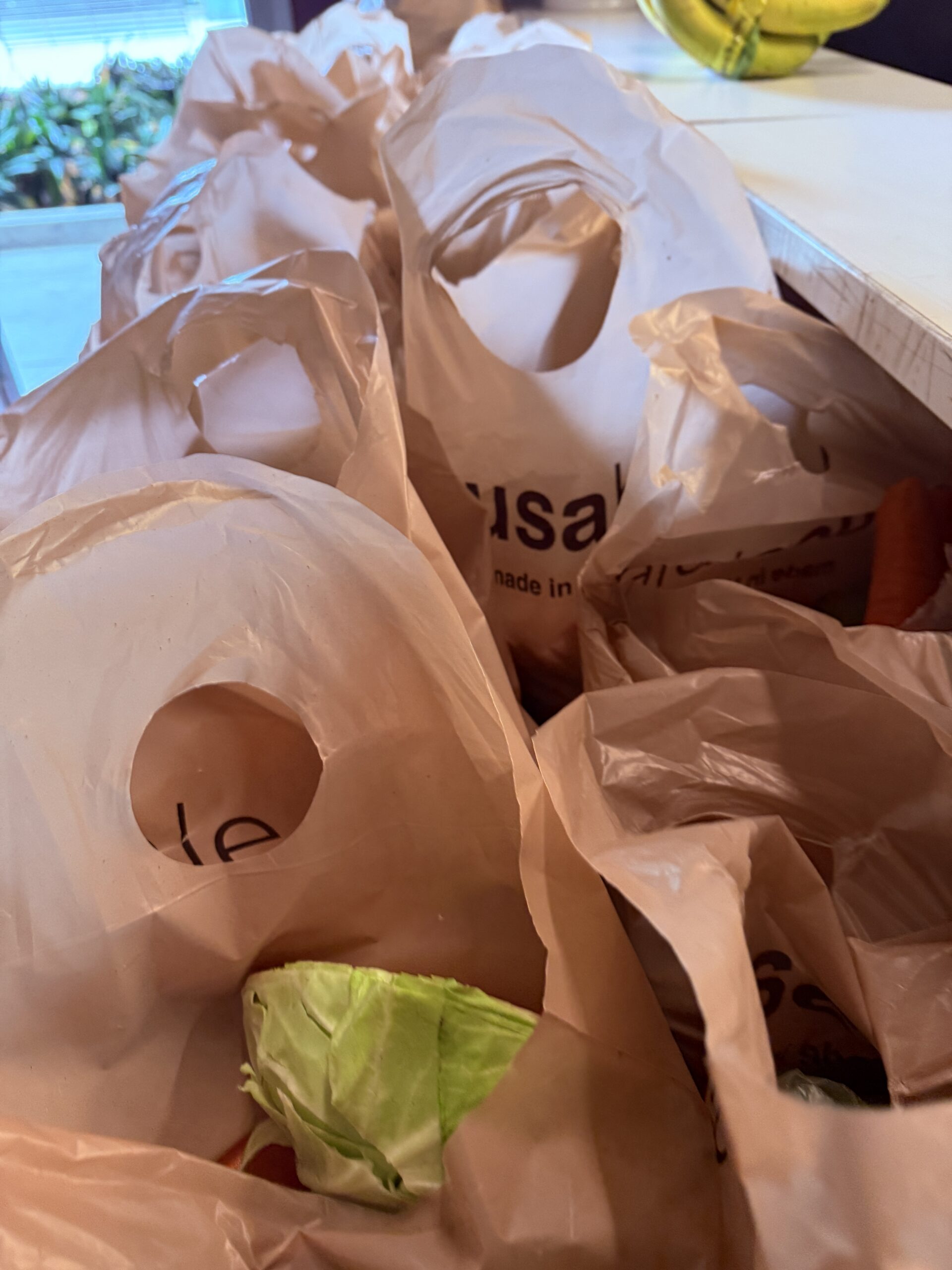 Shelves stacked with filled grocery bags in the pantry.